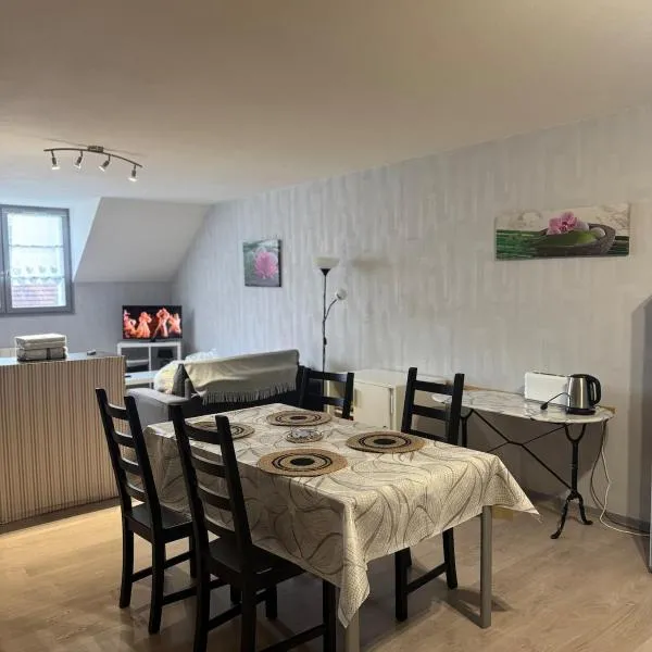 Studio confortable proche thermes, מלון בסאלן-לה-באן