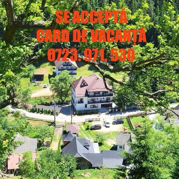 Pensiunea de la Rau Moieciu de sus, Hotel in Moieciu de Sus