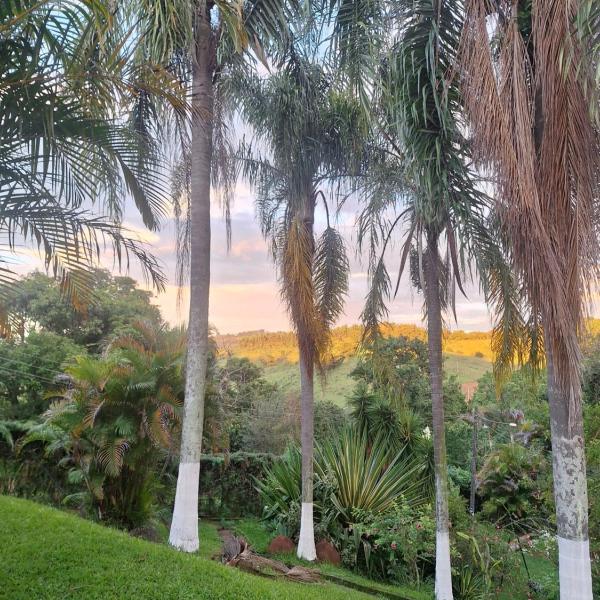 Recanto verde no coração de Pinhalzinho - Foto 5