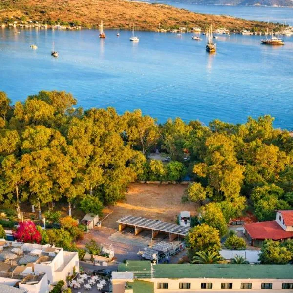 Casa Blue Hotel, hotel v mestu Bodrum City