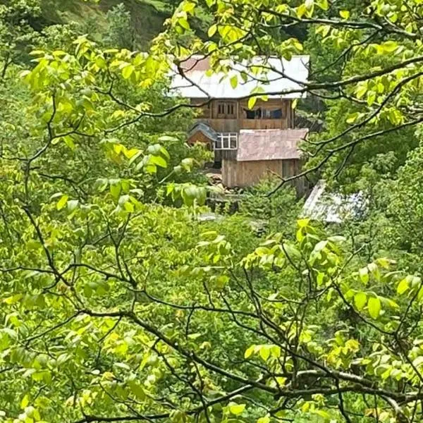 VARD-CIKHE, hotel in Khulo