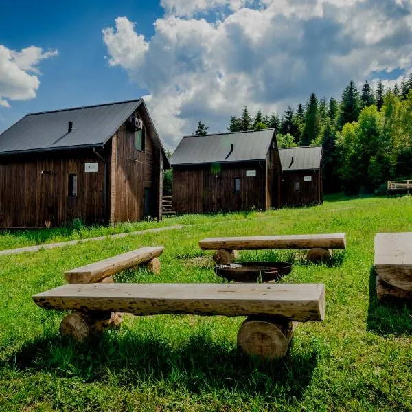 POLANA PIORUN komfortowe domki w Beskidzie Niskim, Hotel in Krynica-Zdrój