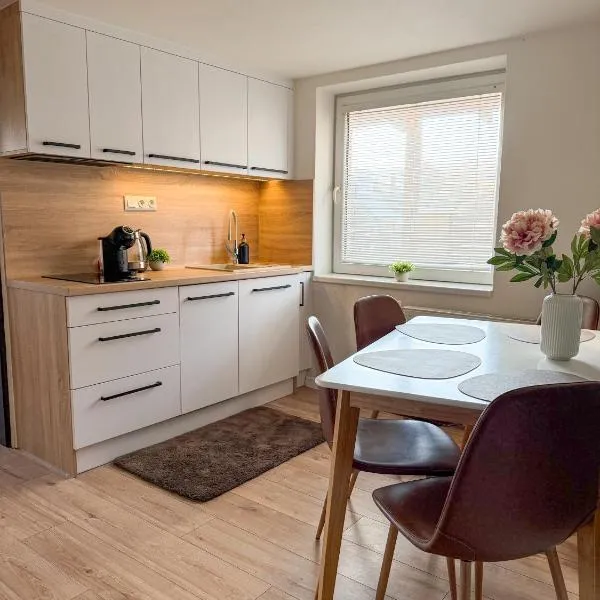 Nadštandardný apartmán s terasou a parkovaním, Hotel in Tisovec