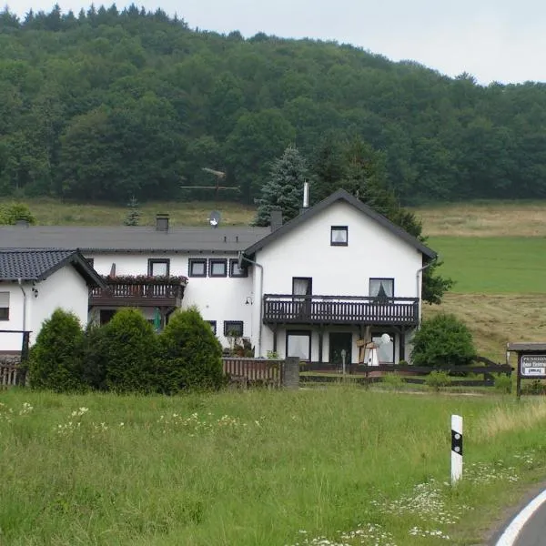 Pension Haus Liesertal, hotel Üdersdorfban