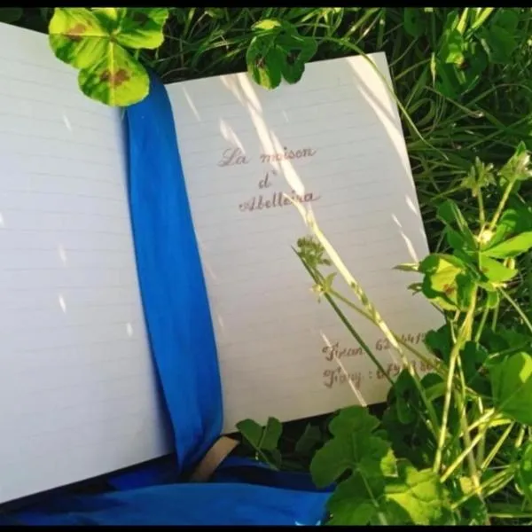 Chalet Abelleira, Hotel in Ponteareas