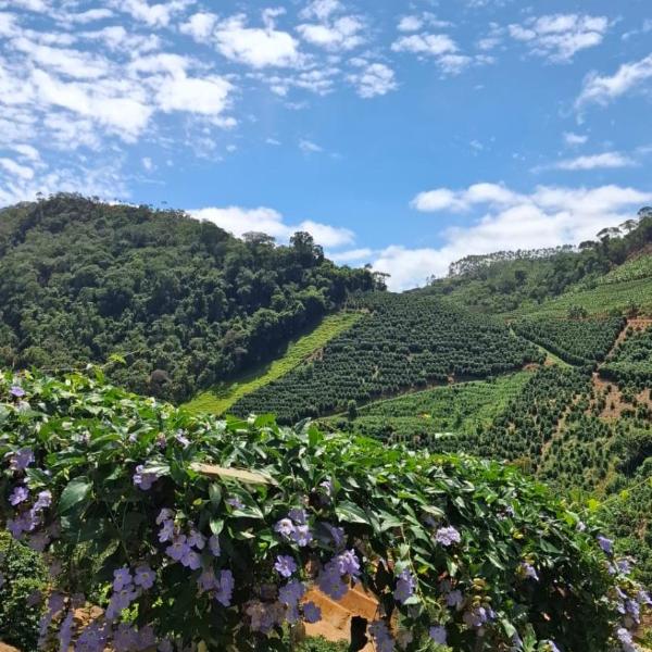 Sítio Meu Rancho - Foto 5