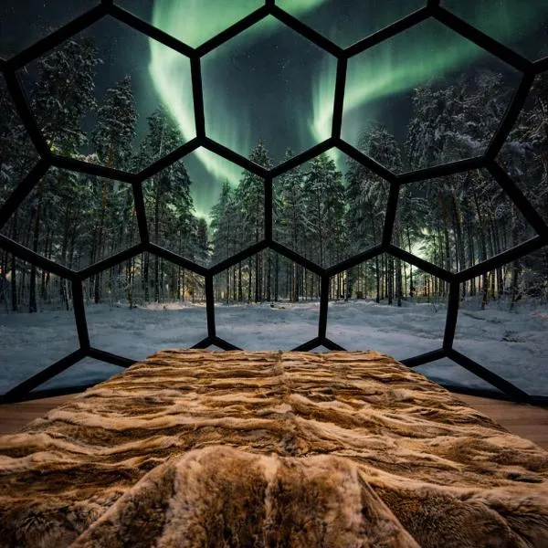 SKOG - Aurora Igloos Resort, hotel din Kalix