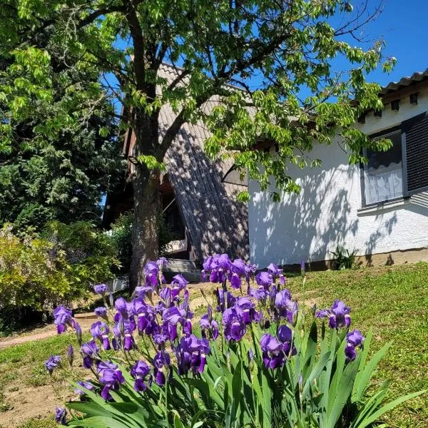 ApróLak - Erdőhöz közeli alpesi faház, pároknak és családoknak, hotel u gradu Zalakaros