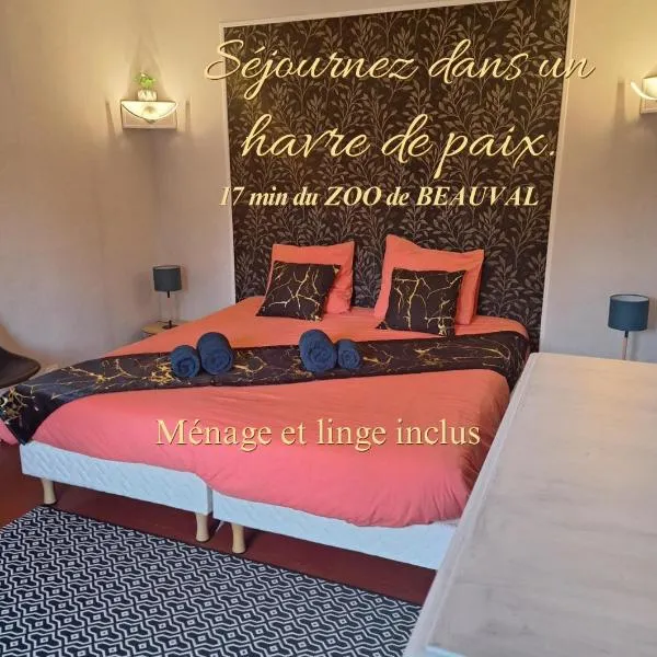 Gîte du Canal de Berry II Beauval 6 personnes, хотел в Сел-сюр-Шер