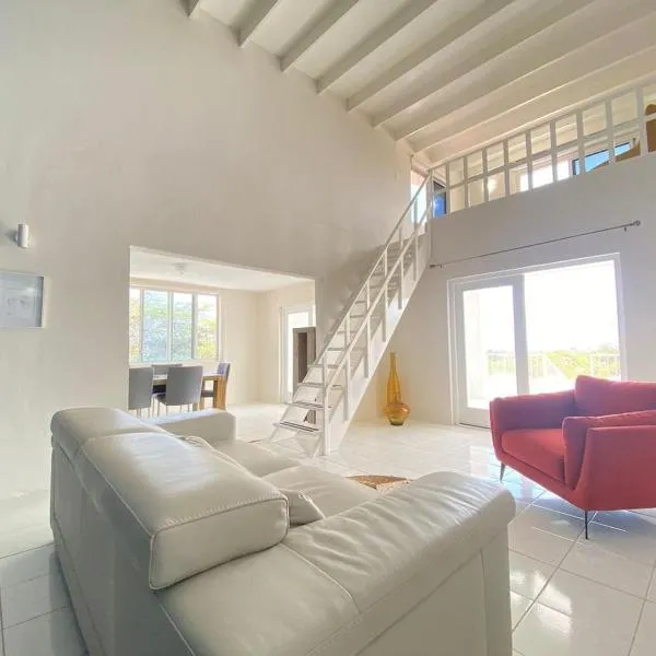 Aruba Villa on a Hill, hotel in Savaneta