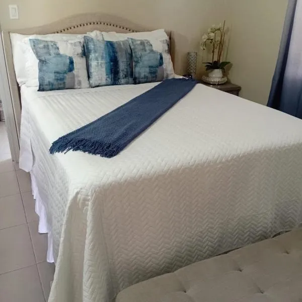 Natty’s Cozy Beach house in Hanover Jamaica, hotel a Point