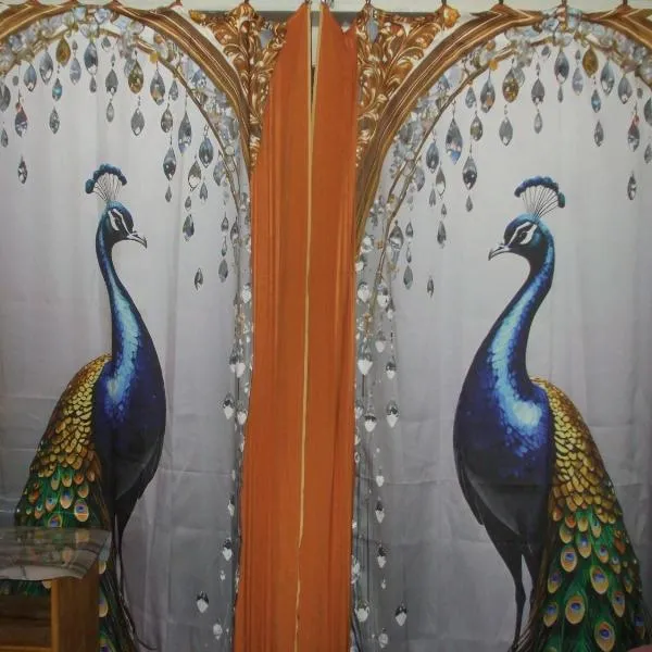 Daneto Apartment, отель в городе Тарговыште