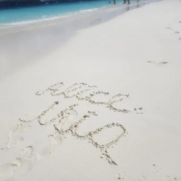 Studio Alice Mia, hotel v mestu Chiajna