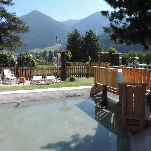 B&B Montana ski-bike-spa, отель в Поцца-ди-Фасса