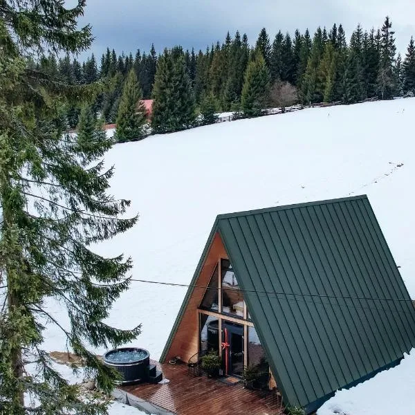 La Știubei Cabin, hotell i Mărişel