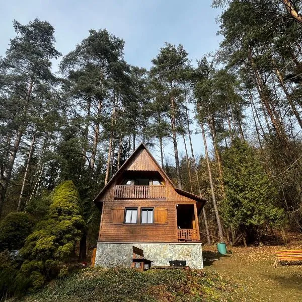 Viesnīca Chata za dubem pilsētā Všelibice