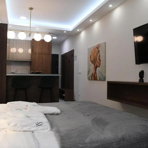 VS Exclusive Luxury Delux Studio with King Bed and Parking, hotel in Vrnjačka Banja