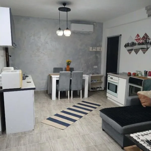 Apartman SANI, hotelli kohteessa Donji Milanovac