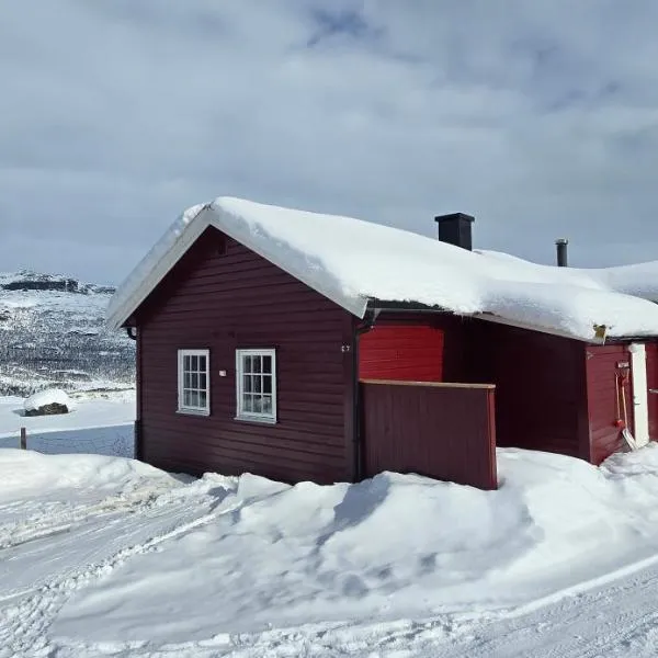 Midtgard, hotel u gradu Tyinkrysset