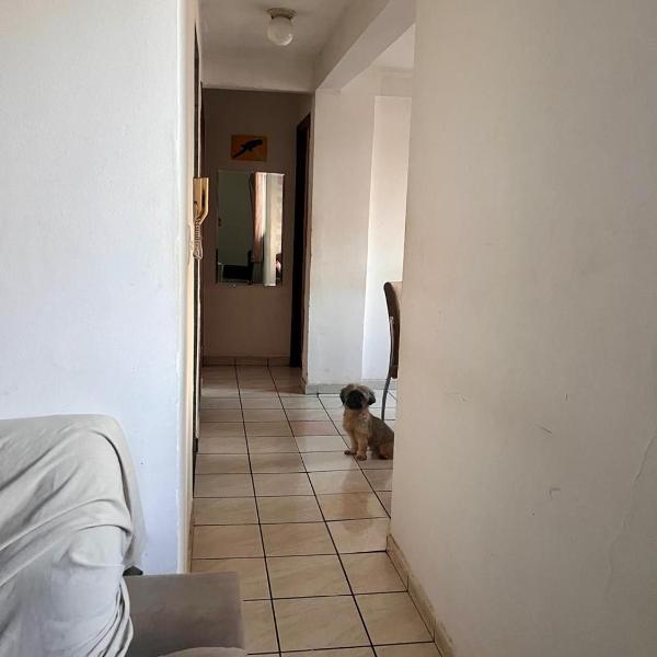 Condominio Amarelo