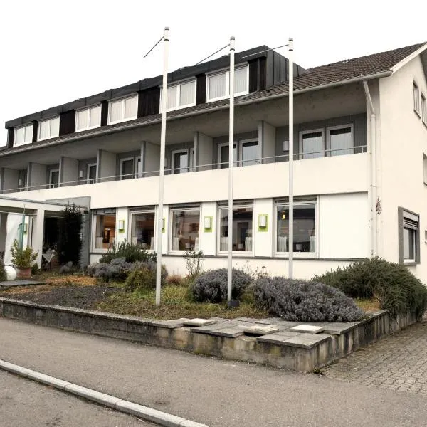 弗呂酒店，巴特塞京根的飯店