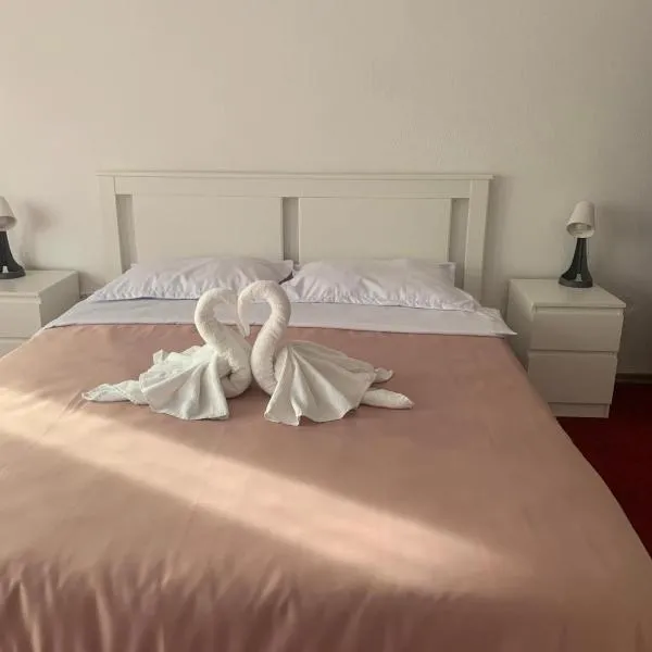 Palas Hotel, hótel í Slănic-Moldova