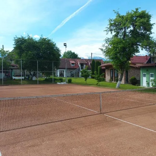 Casa de Piatra, hotel em Porumbacu de Sus