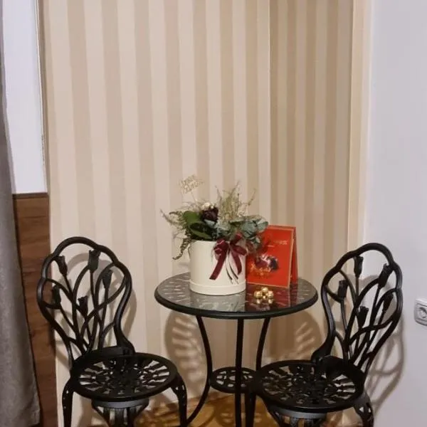 City center apartment's Struga, hotelli kohteessa Struga