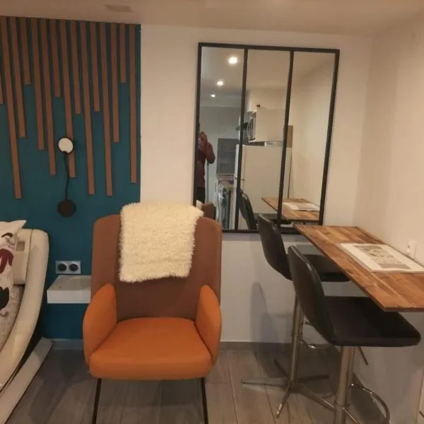 Business Studio 10 minutes de Paris et Orly, hotel em Antony