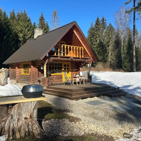 Ala-Kure metsamaja, hotel 