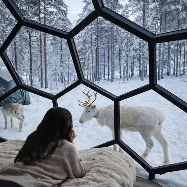 SKOG Aurora Glass Igloos, hotell i Kalix