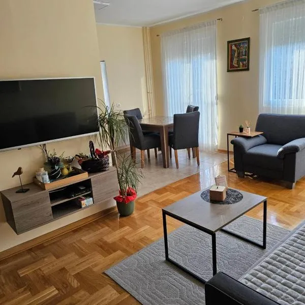 Apartman JOVANA, hotel in Dušanovac (historical)