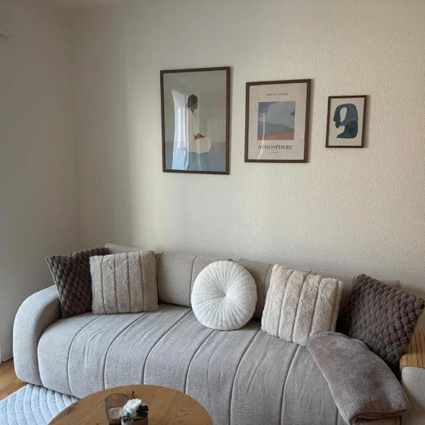 Viesnīca Moderne 4-Zimmer Wohnung nahe Bodensee mit Balkon pilsētā Roršhaha