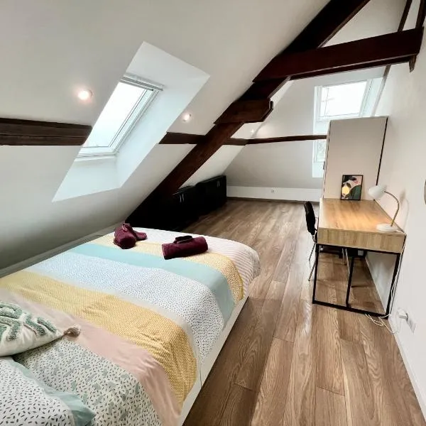 Le 1900 - Spacious & Charming Duplex - 3 BR, hotel a Colmar