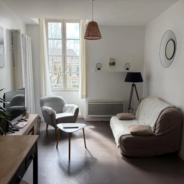 centre Pau proche Chateau et gare 33 m2, hotel in Pau