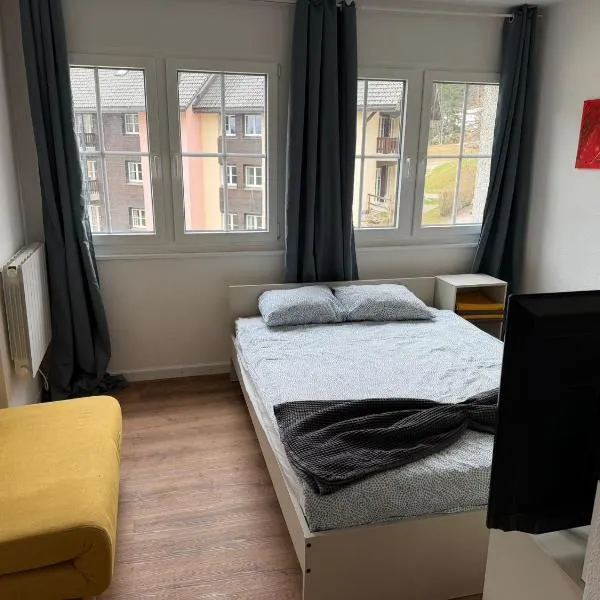 Magnifique Studio à Moléson, מלון בMoleson