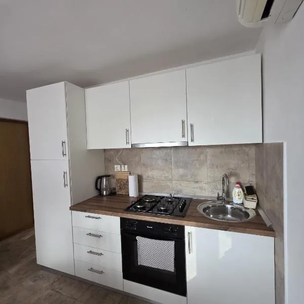 Studio apartman Vrba: Otočac şehrinde bir otel