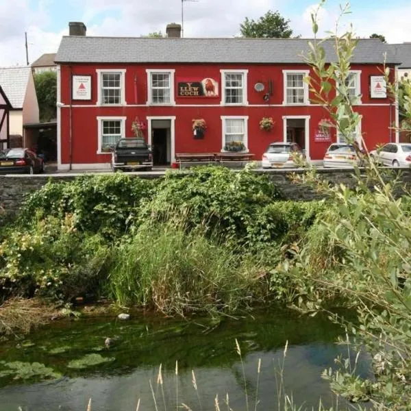llew coch, hotel en Tregaron