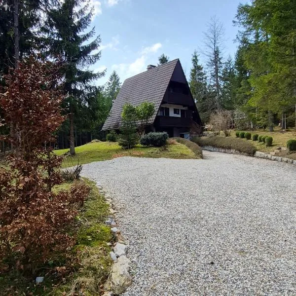 Holiday house pr' ta star lip'، فندق في Rakitna