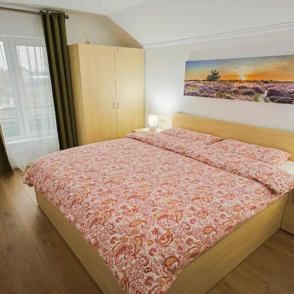 Apartament Domina, self check in, 1 sau 2 dormitoare, 3stele, Ministerul Turismului, hotel in Sînnicolau Mare