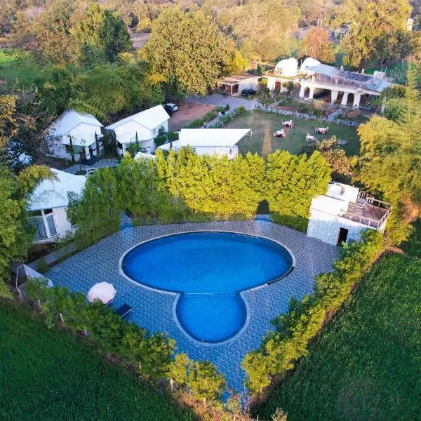 Olive, hotel di Tāla