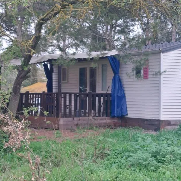 Bungalow climatisé dans pinede, hotel en Villemoustaussou