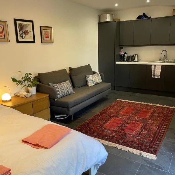 Little green door studio very close to the center of Brixton, hotel u Londonu