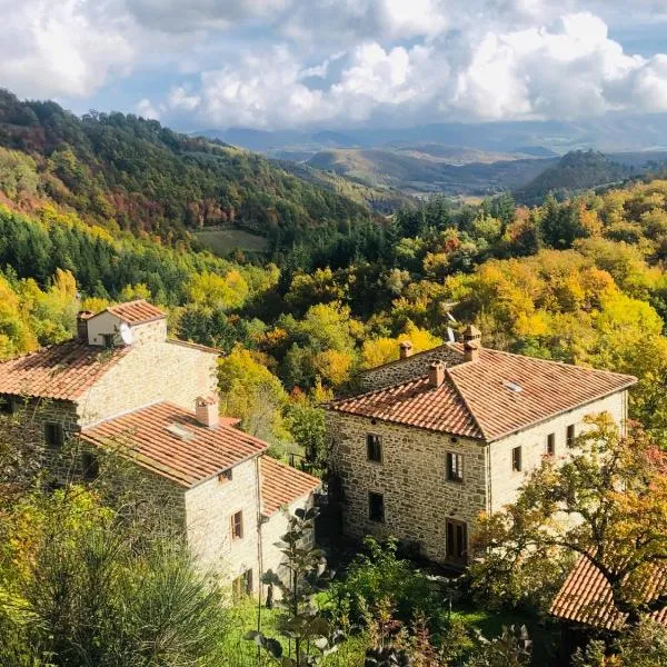 Bio Agriturismo Il Vigno - Pool Sauna Nature - Farm To Table Food - Wild Tuscan countryside - Adults Only - Your Place to Breathe, hotel en Caprese Michelangelo
