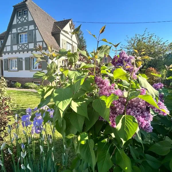 Le Hêtre Rouge - Écureuil et Geai Charme & Spa Alsace, hotel di Barr