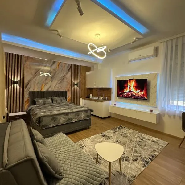 Studio Apartman Kostić, hotel in Gracanica