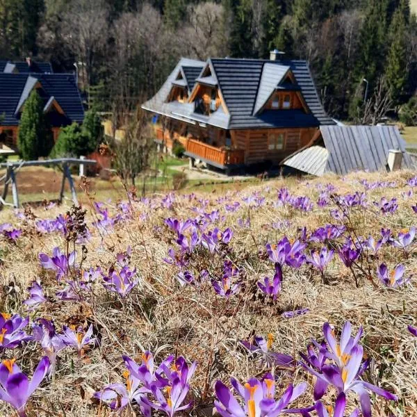 Domek Kojsówka, hotel v destinácii Witów