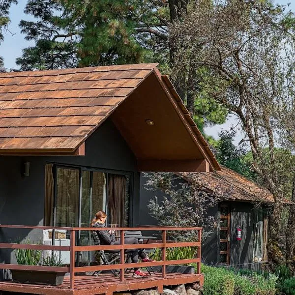 Orgánico Hotel Boutique, hotel em Cidade do México