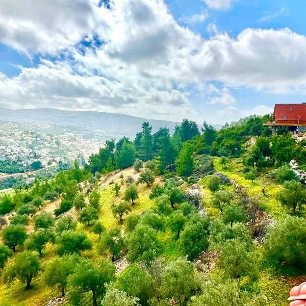 أكواخ المها oryx cottage，阿傑隆的飯店