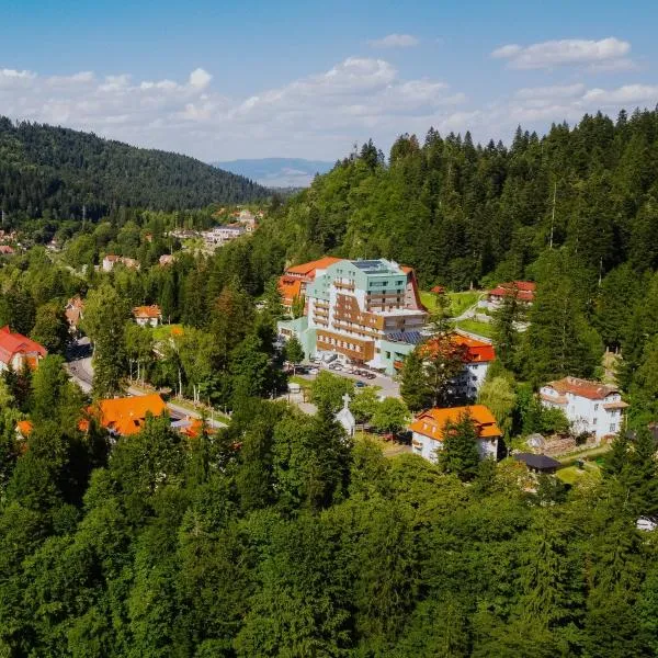 Hotel O3zone - Mountain Spa & Conference, готель у місті Беїле-Тушнад